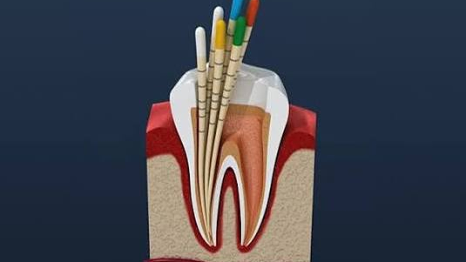 photo_2026-01-16_14-12-28