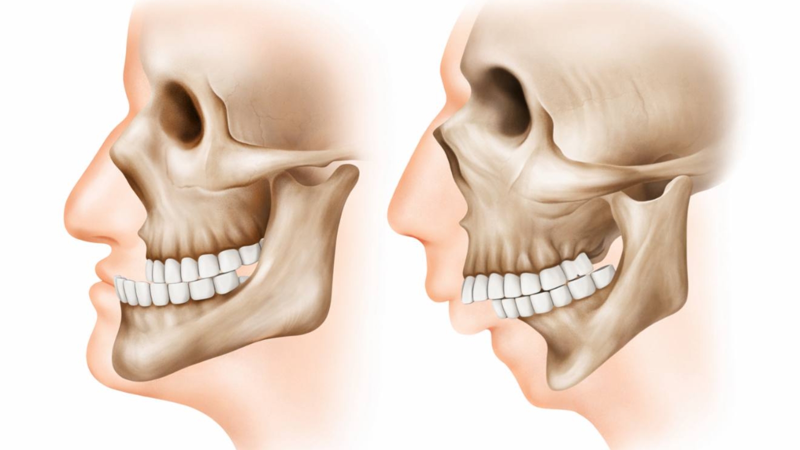 photo_2026-01-19_13-43-33