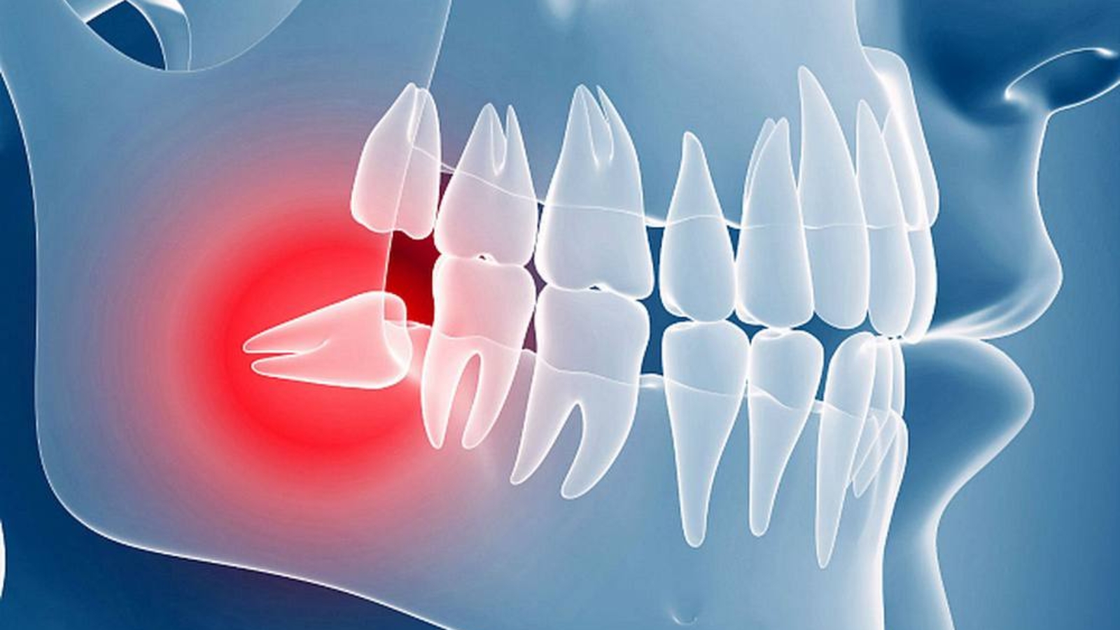 photo_2026-01-19_13-45-24