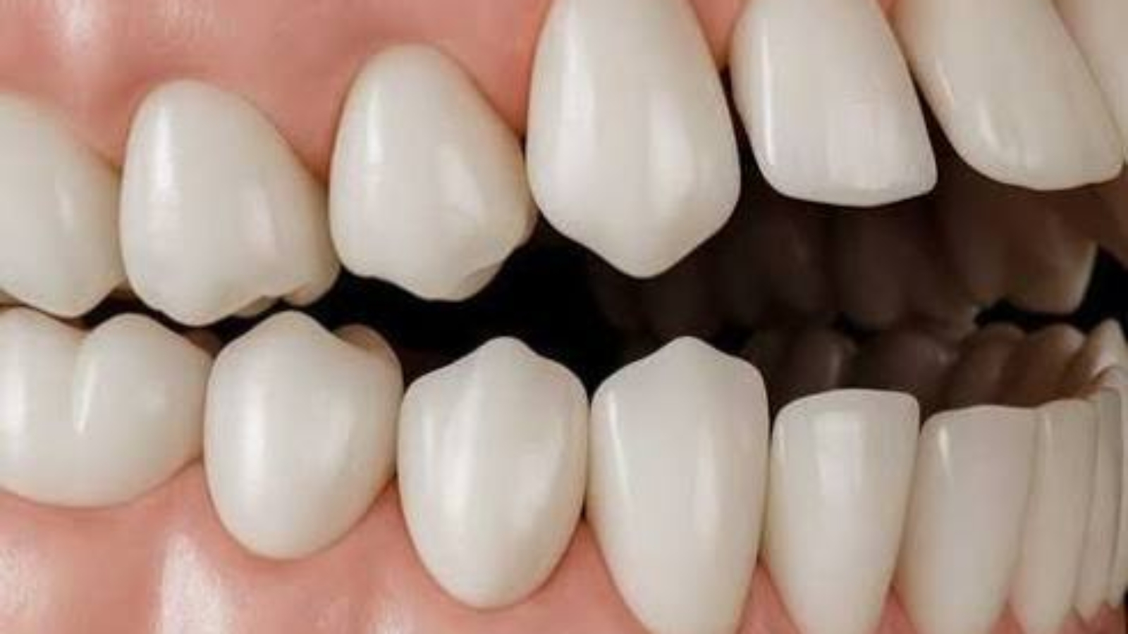 photo_2026-01-19_13-47-23