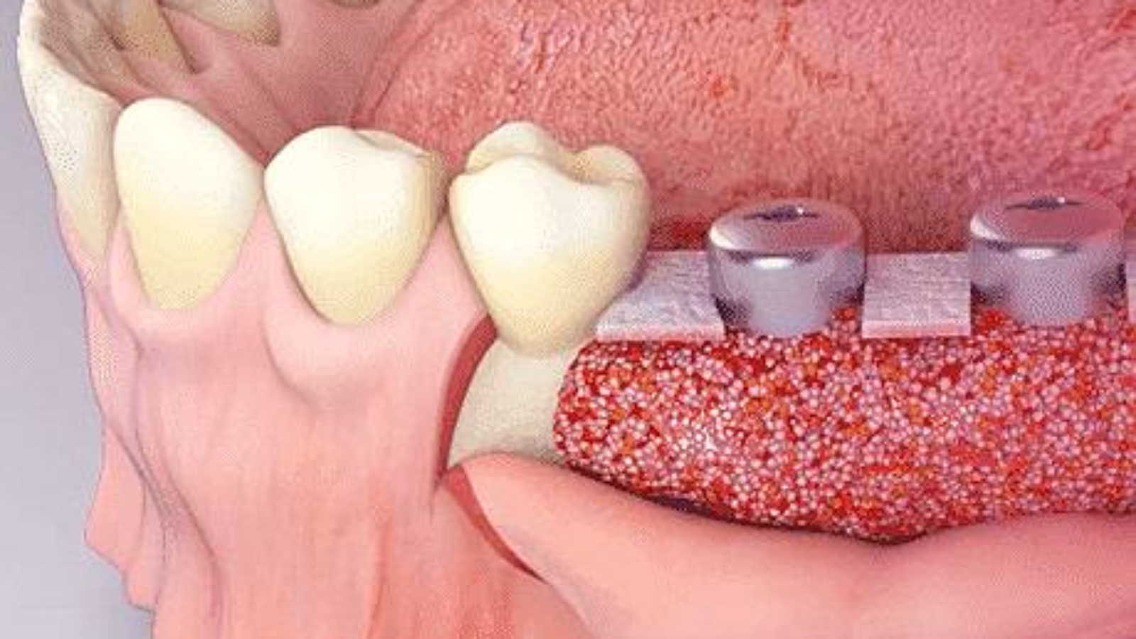 photo_2026-01-20_20-46-20