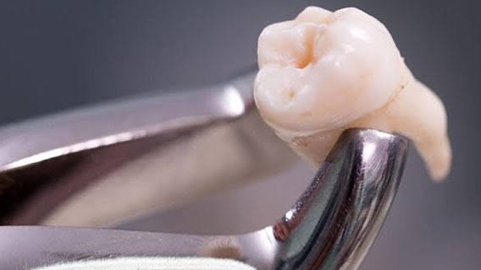 photo_2026-01-21_10-44-36