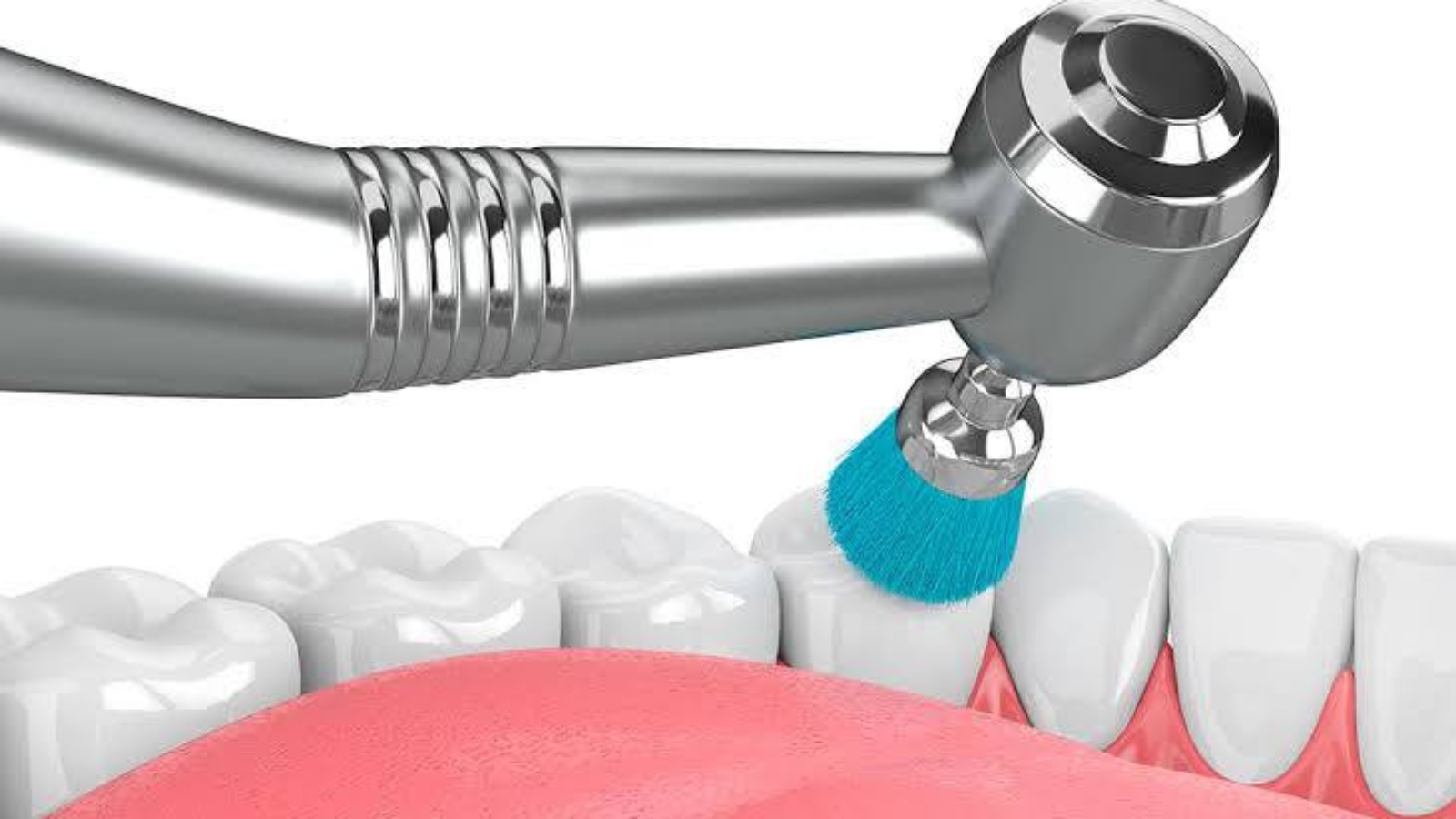 photo_2026-01-21_10-45-03