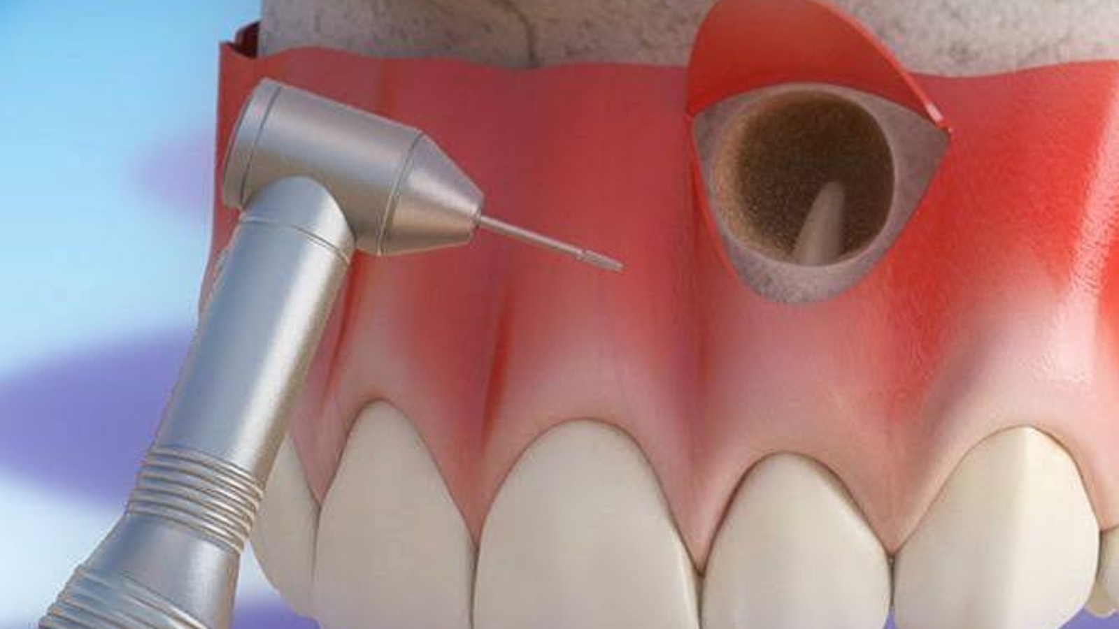 photo_2026-01-21_10-45-20