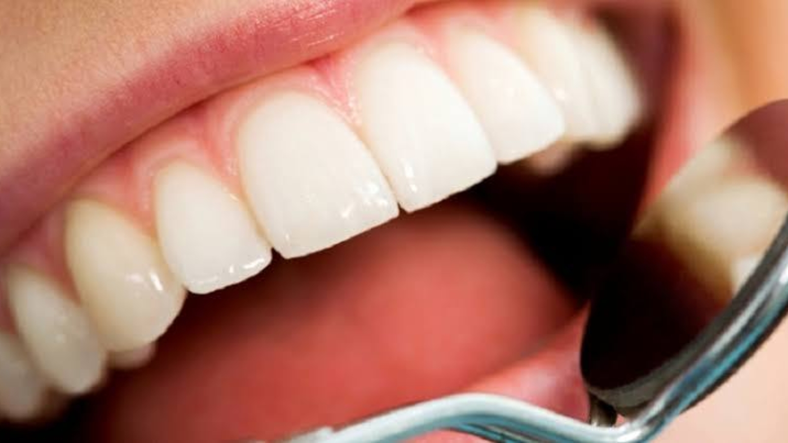 photo_2026-01-22_11-27-37