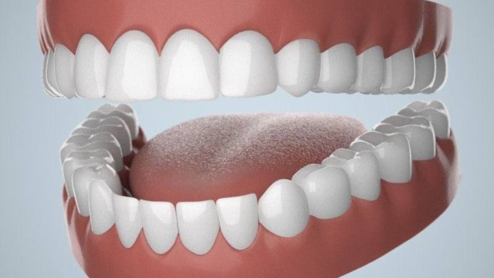 photo_2026-01-22_11-27-49