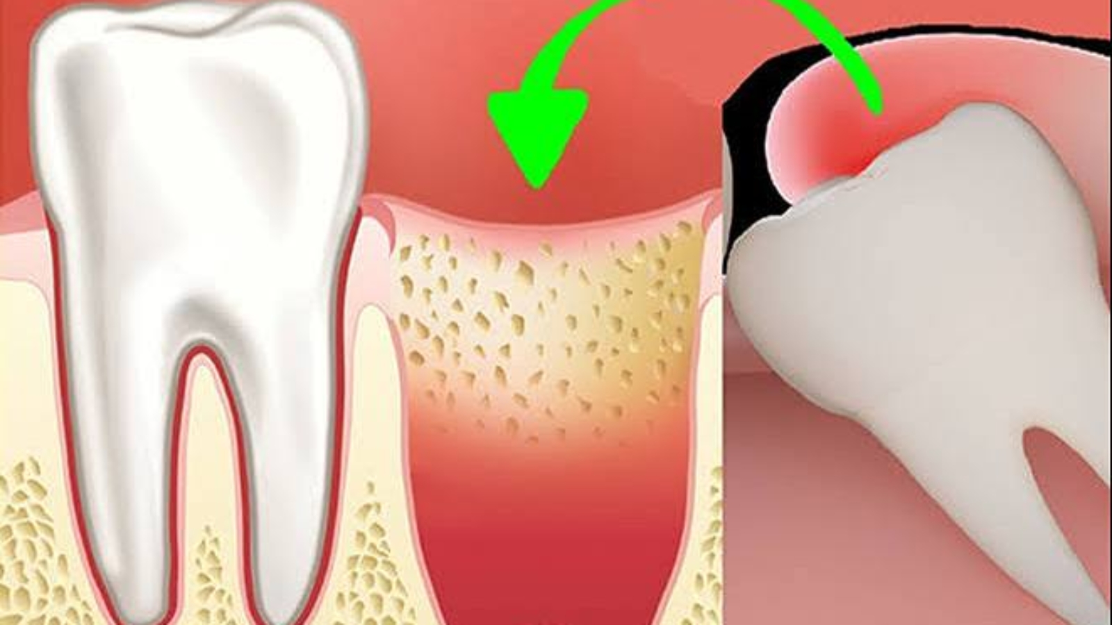 photo_2026-01-23_13-25-44