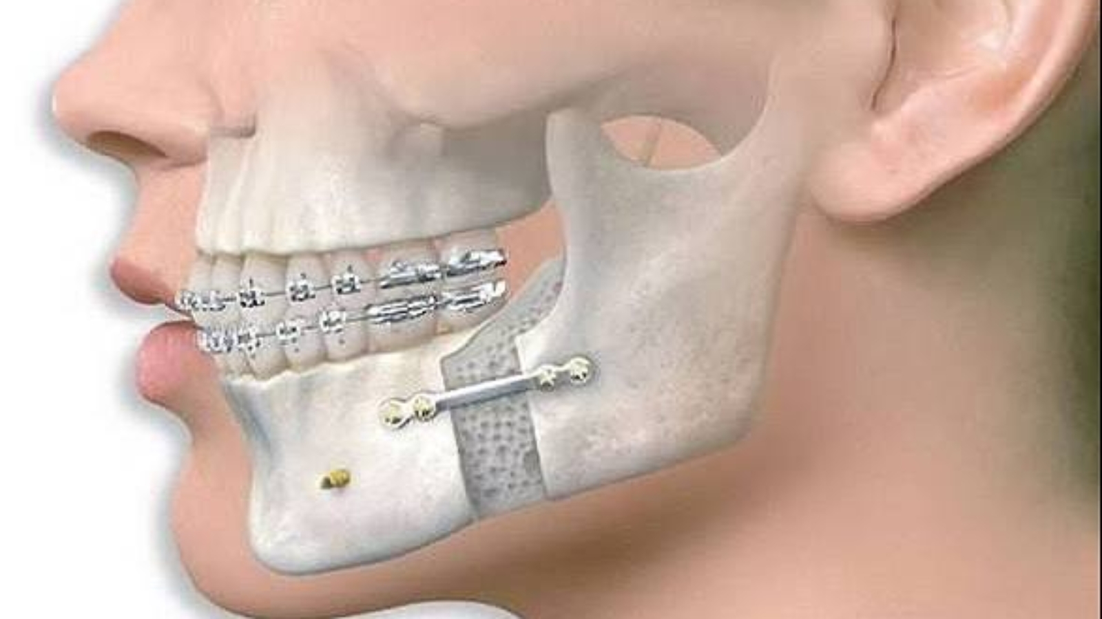 photo_2026-01-23_13-28-00