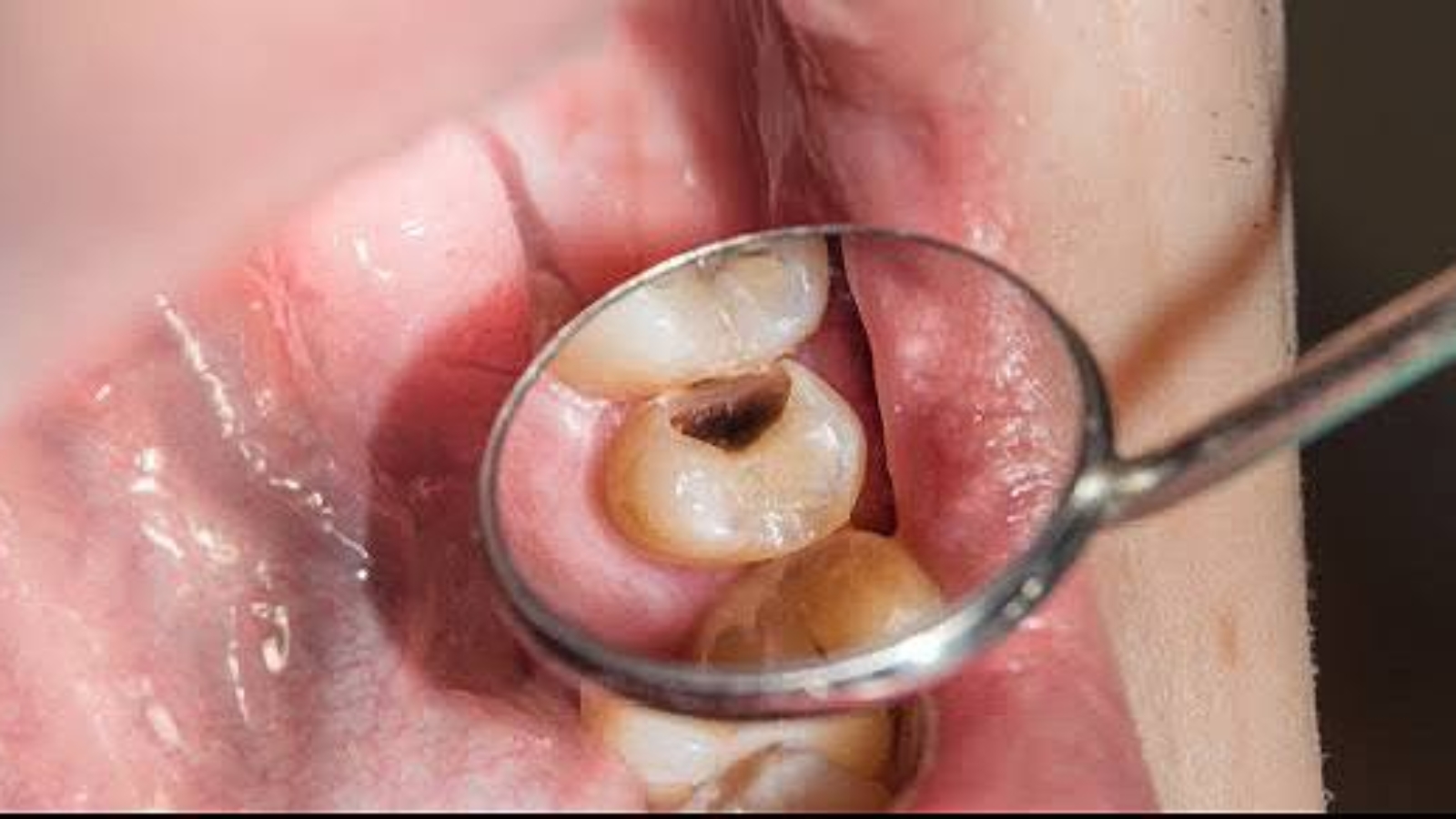 photo_2026-01-23_13-35-10