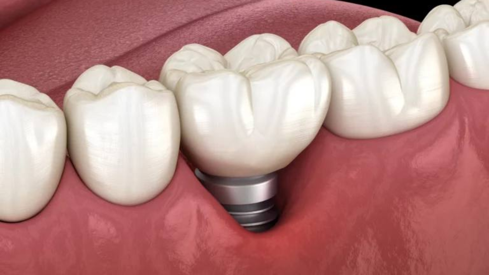 photo_2026-01-26_14-48-23