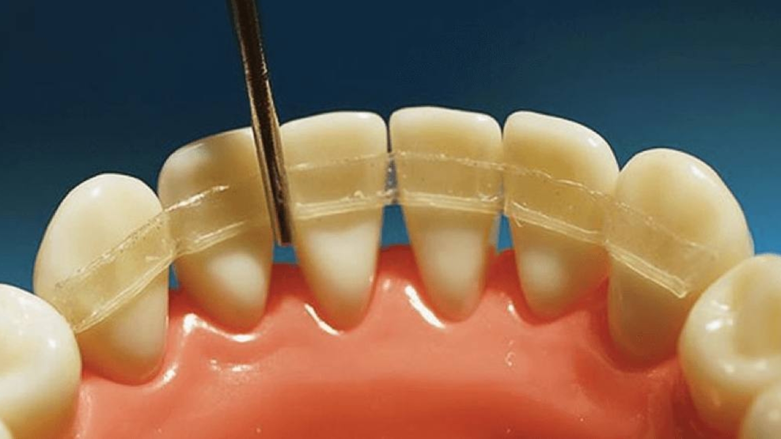 photo_2026-01-26_14-48-57