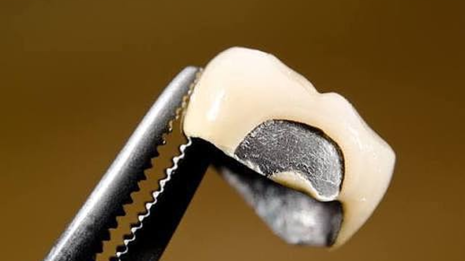 photo_2026-01-27_14-08-21