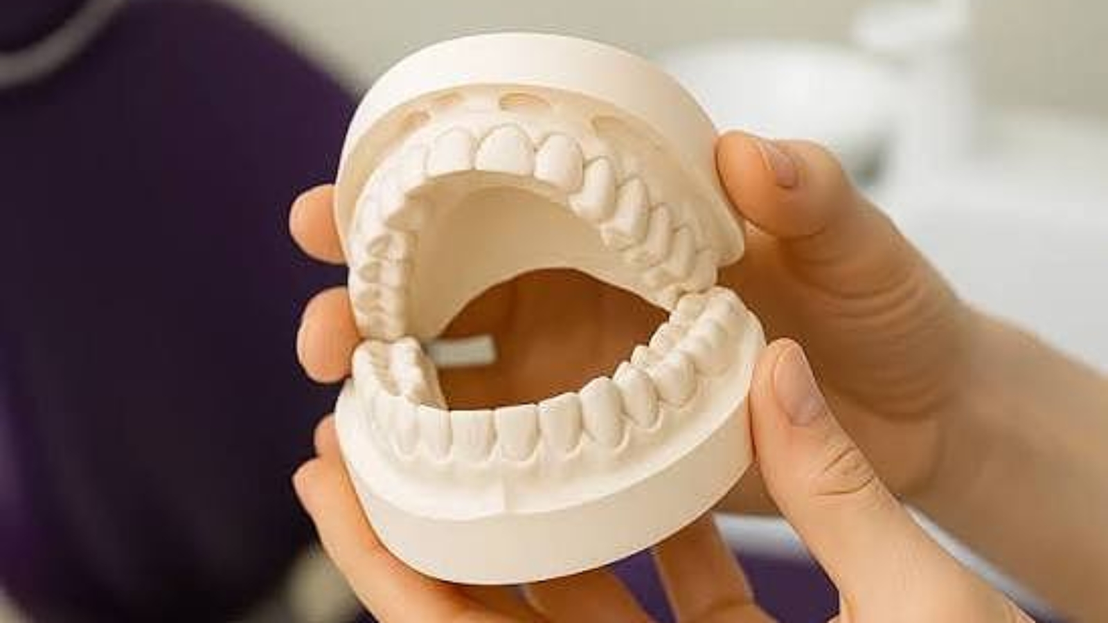 photo_2026-01-27_14-08-26