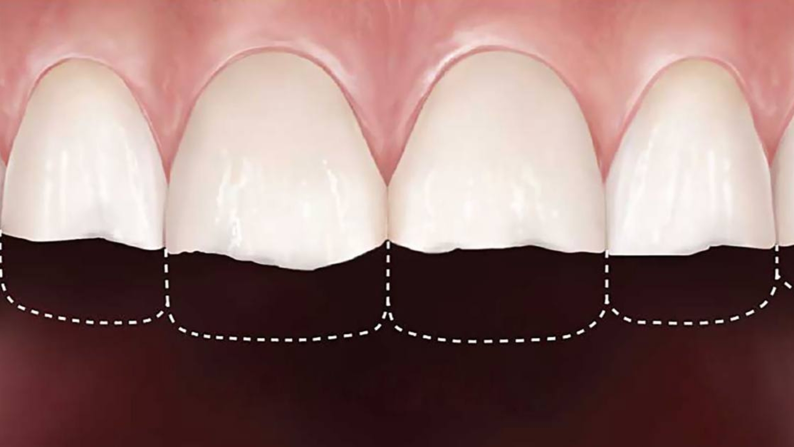 photo_2026-01-27_14-08-34