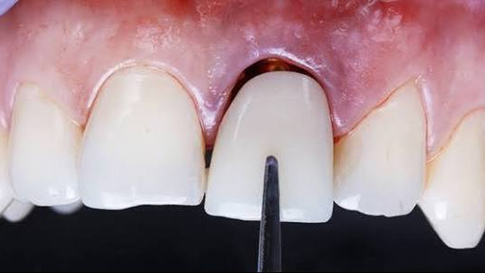 photo_2026-01-27_14-08-39