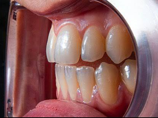 photo_2026-01-28_13-32-16