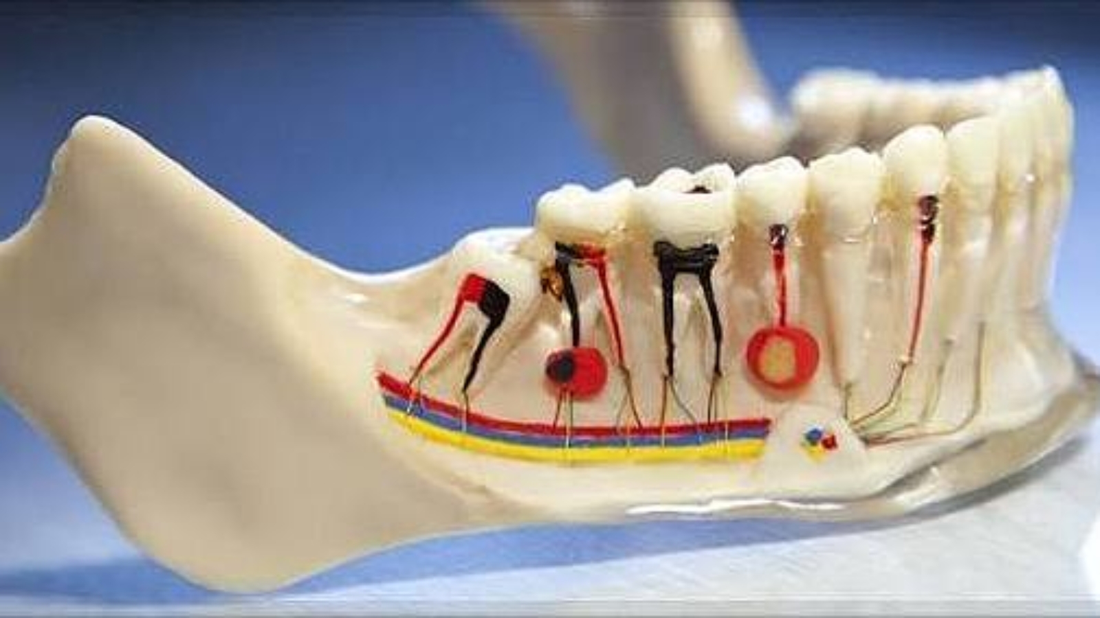 photo_2026-01-28_13-32-24