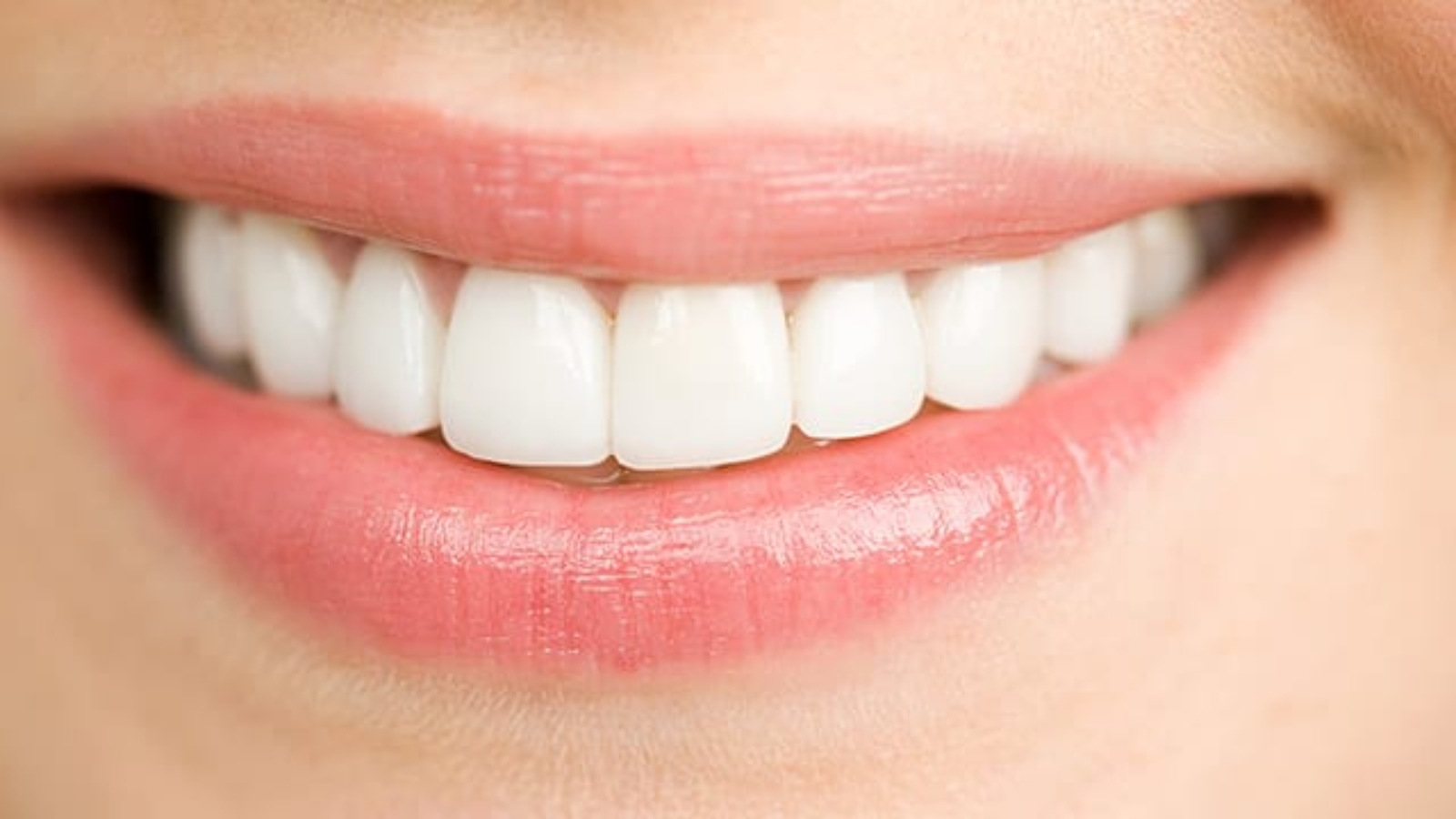 types-of-teeth-and-their-function