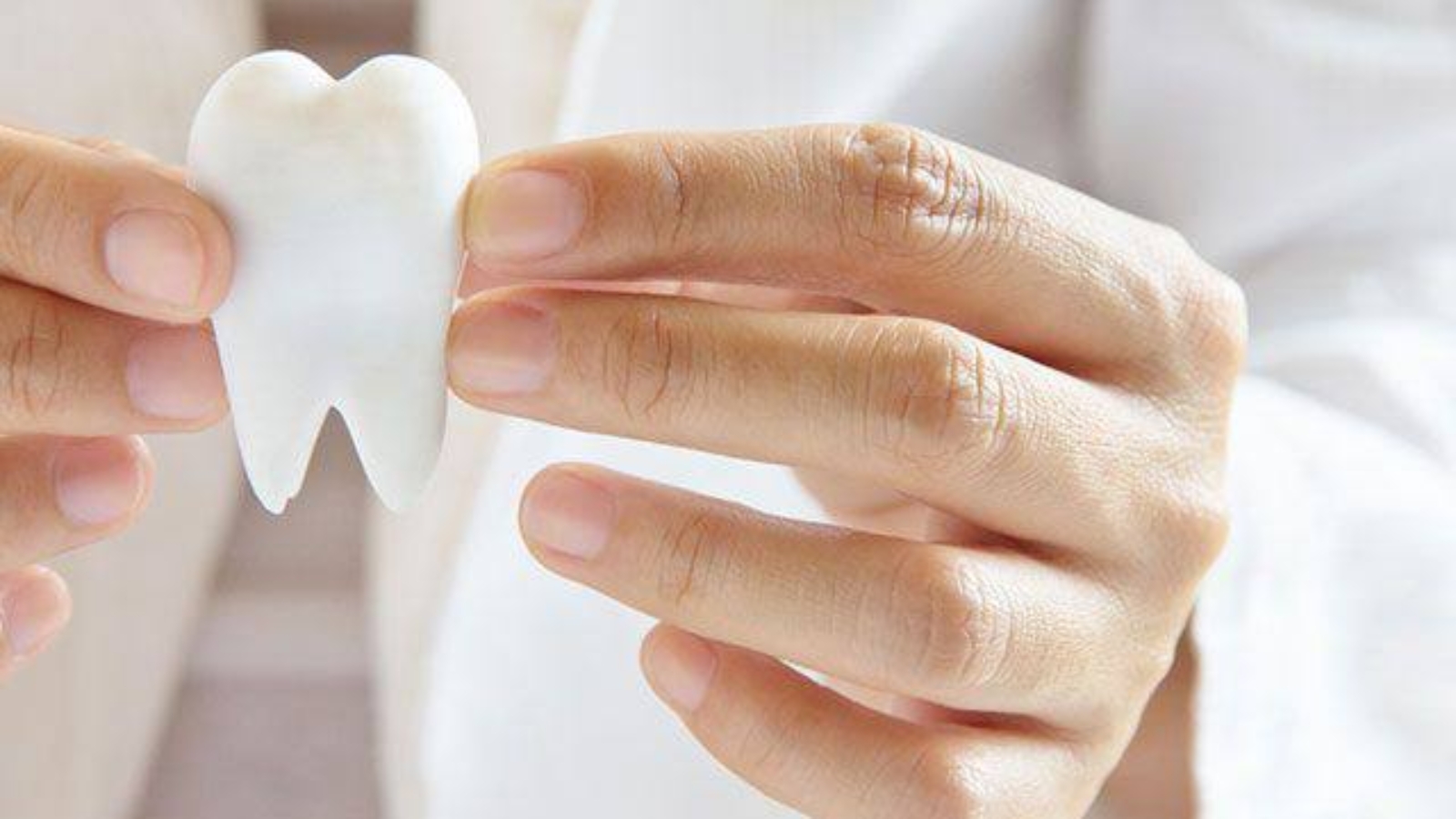 photo_2026-02-02_12-06-34