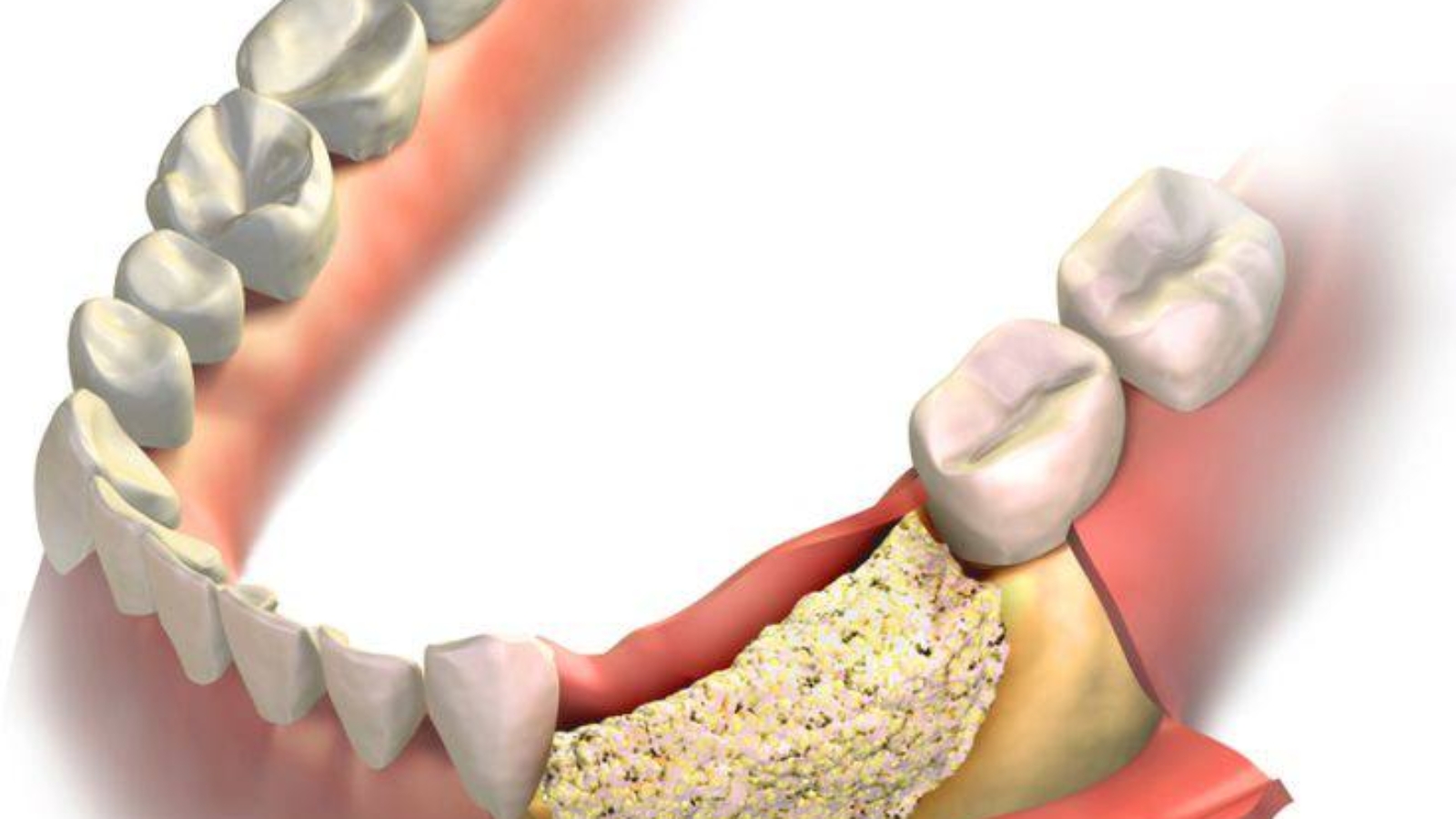 photo_2026-02-04_11-56-59