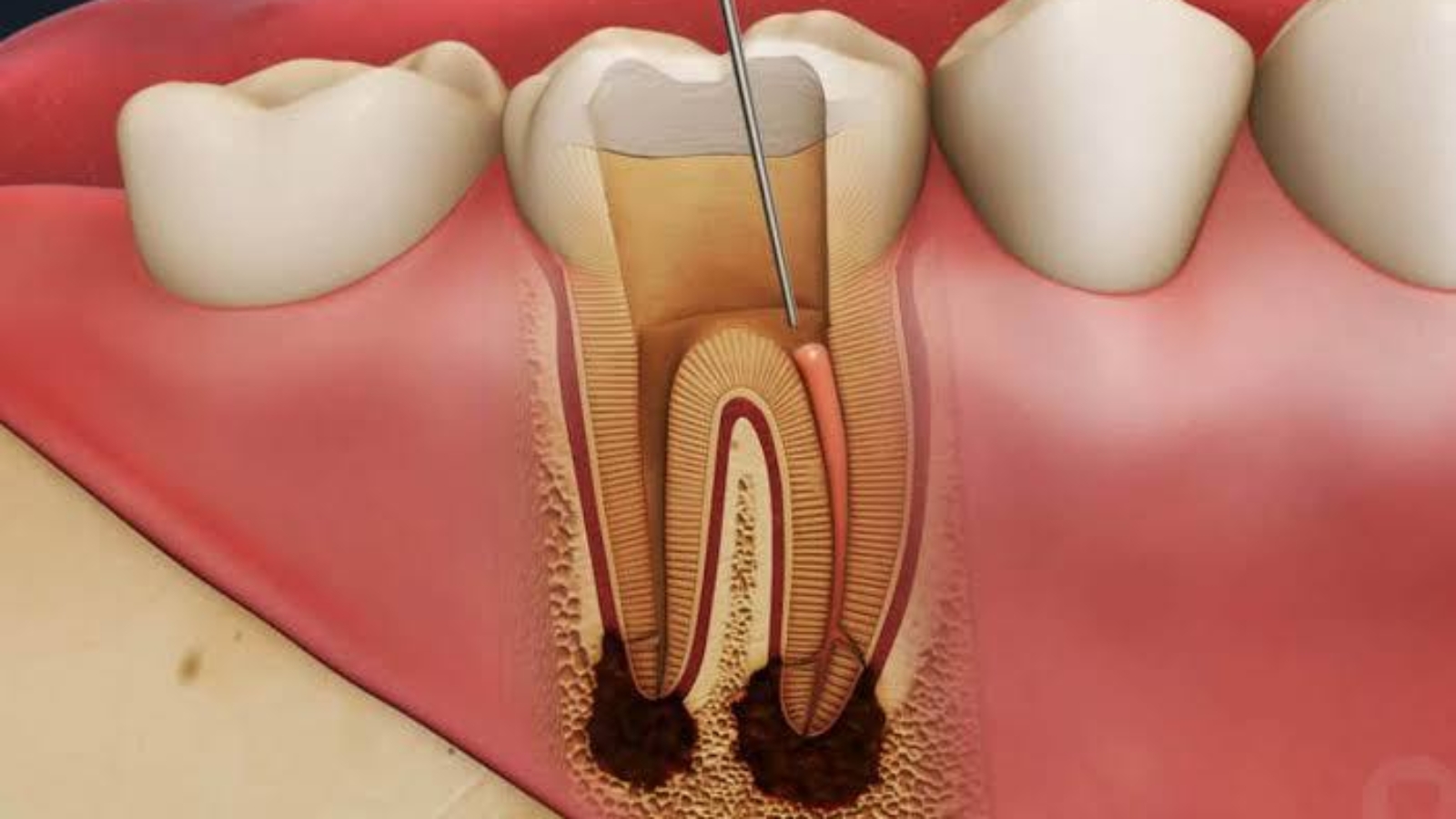 photo_2026-02-09_14-27-34