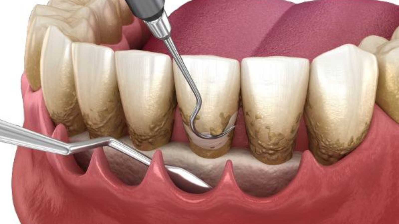 photo_2026-02-09_14-33-31