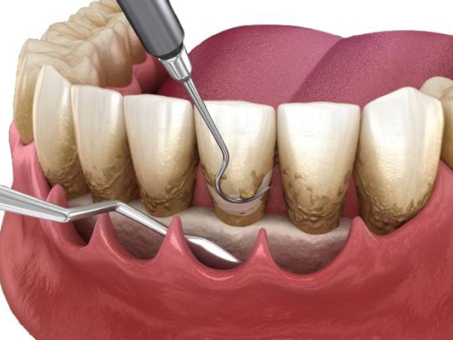 photo_2026-02-09_14-33-31