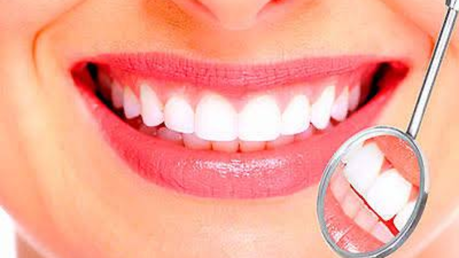 photo_2026-02-10_14-24-18