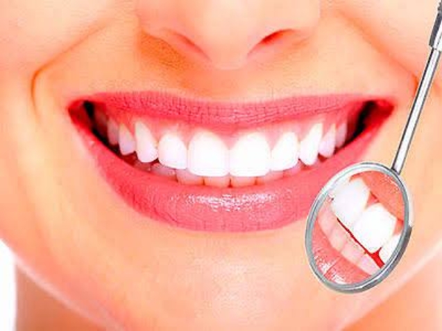 photo_2026-02-10_14-24-18