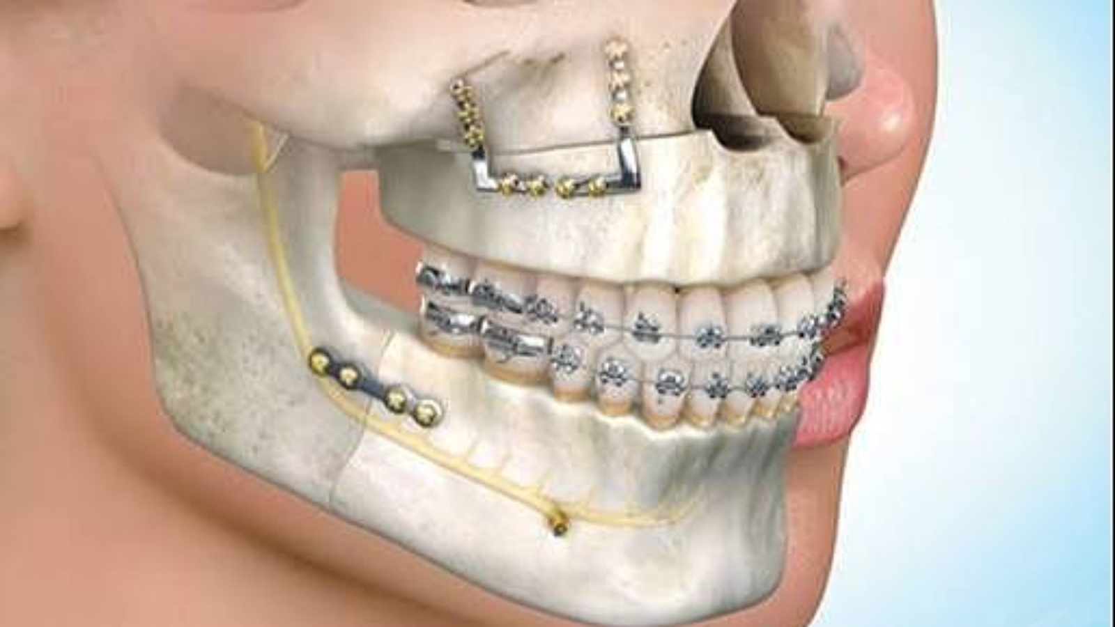 photo_2026-02-10_14-24-29