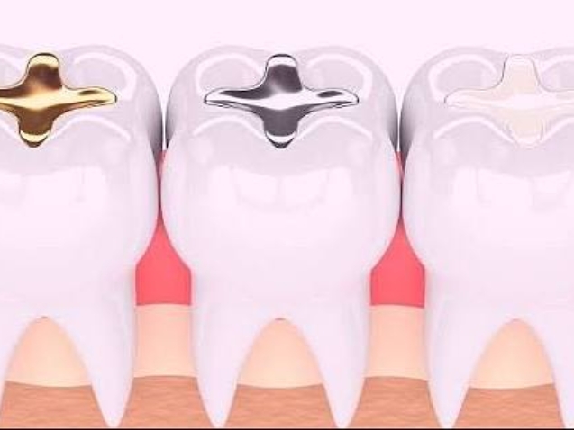 photo_2026-02-11_12-42-07