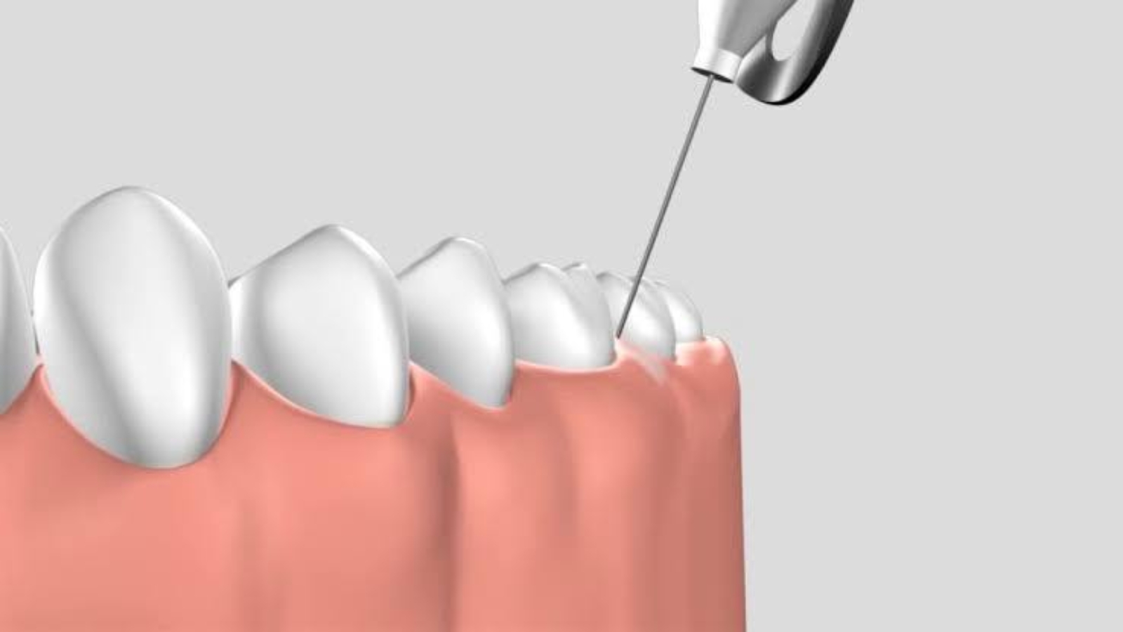 photo_2026-02-11_12-42-21