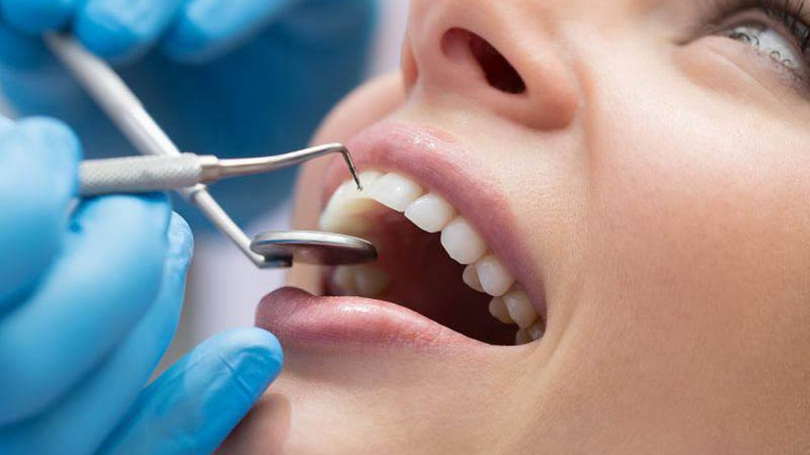 photo_2026-02-11_12-42-27