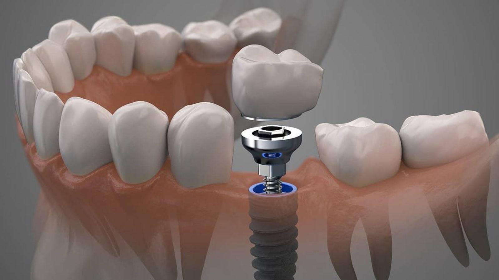 photo_2026-02-12_13-03-25