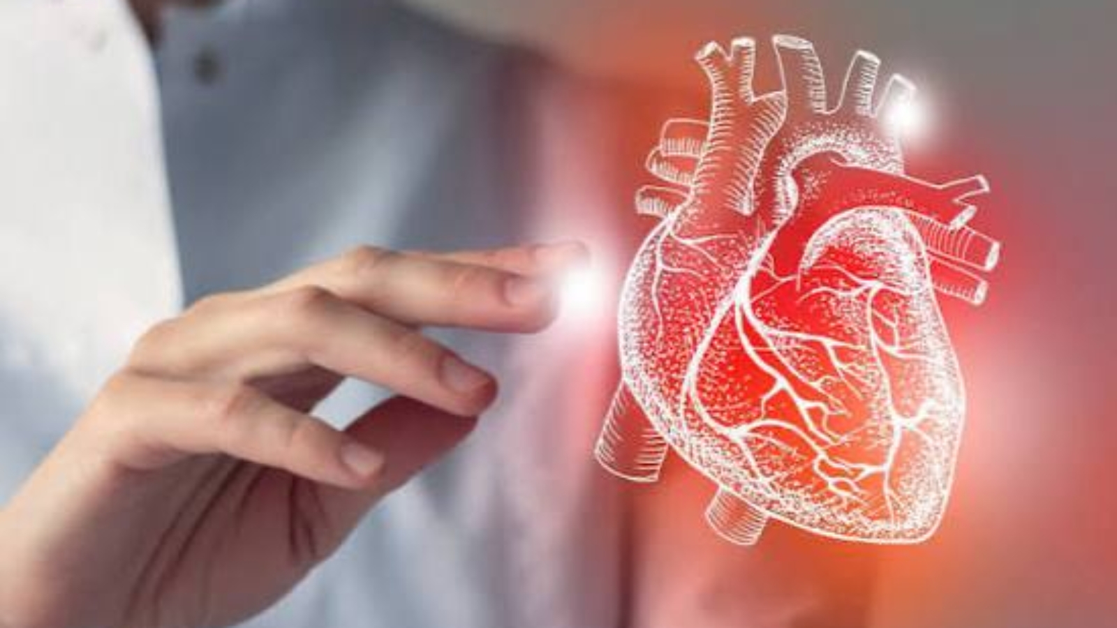 photo_2026-02-16_12-41-38