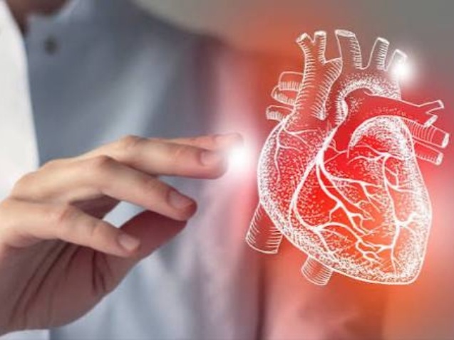 photo_2026-02-16_12-41-38