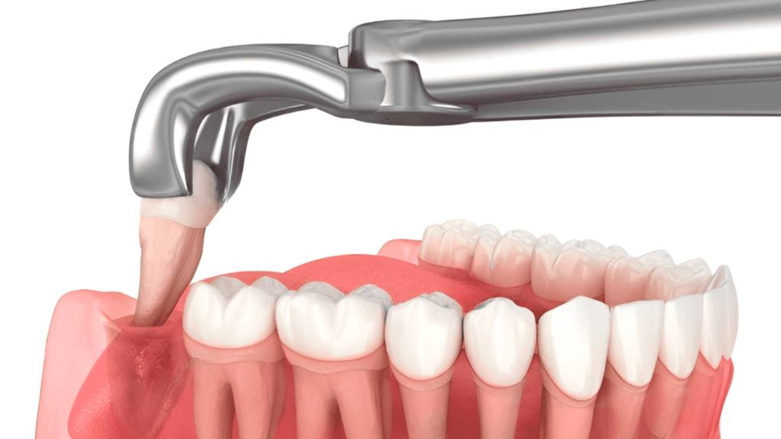 photo_2026-02-16_12-41-44