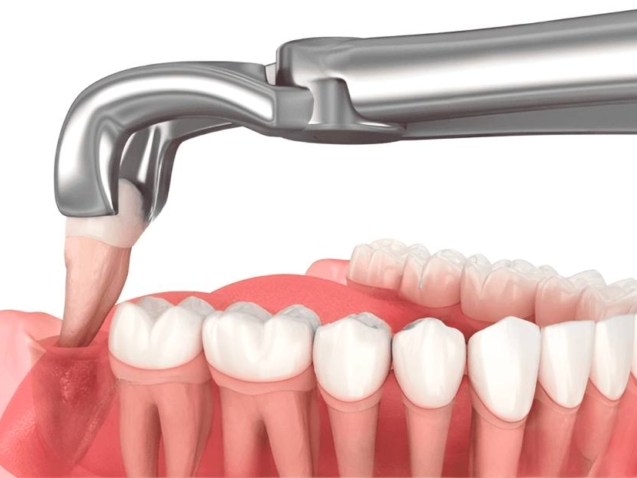 photo_2026-02-16_12-41-44