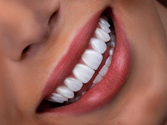 photo_2026-02-16_12-41-58