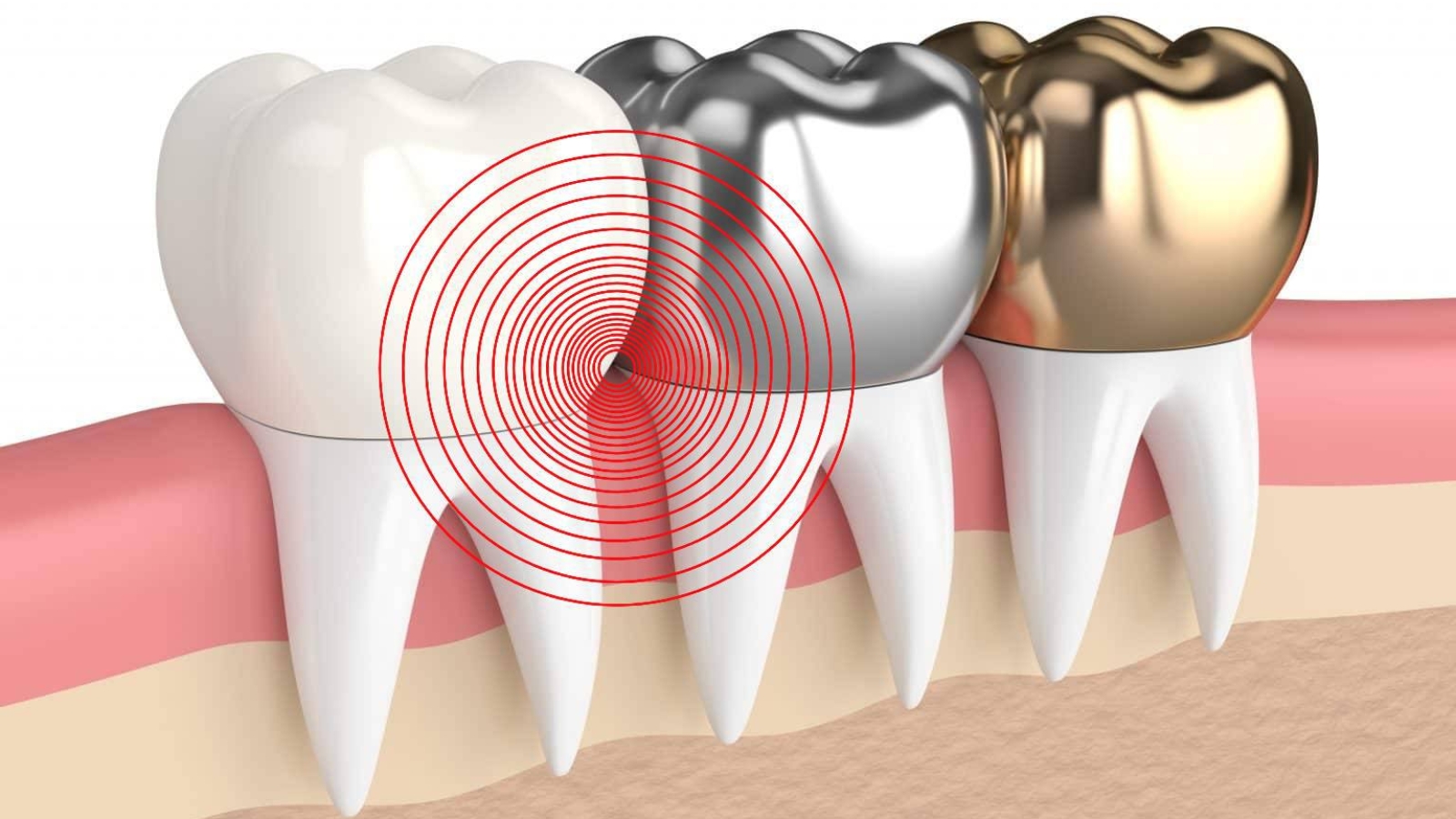 photo_2026-02-17_11-06-17