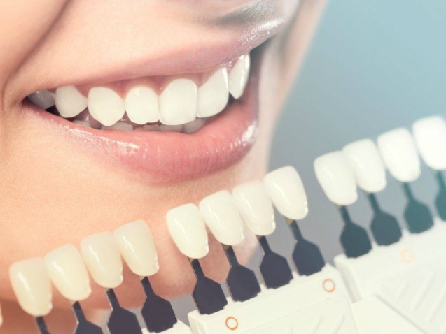 photo_2026-02-17_11-06-29