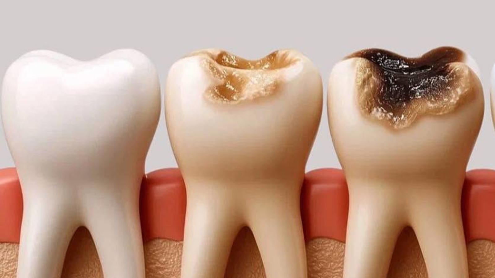 photo_2026-02-17_11-06-40