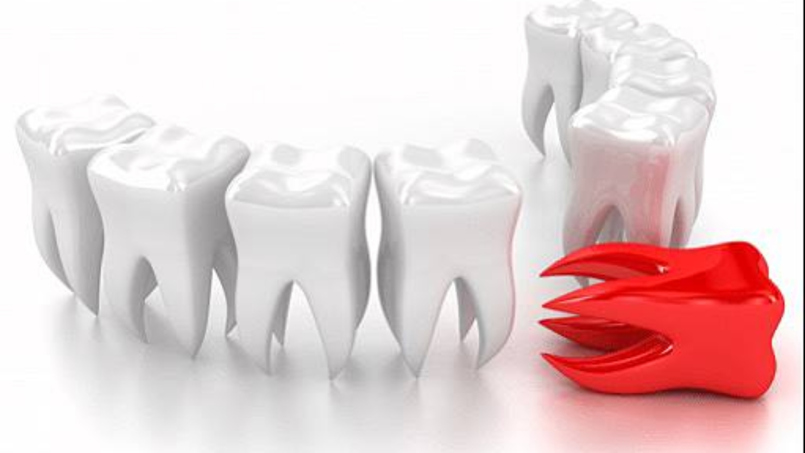 photo_2026-02-18_10-45-35