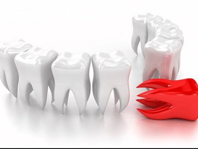 photo_2026-02-18_10-45-35