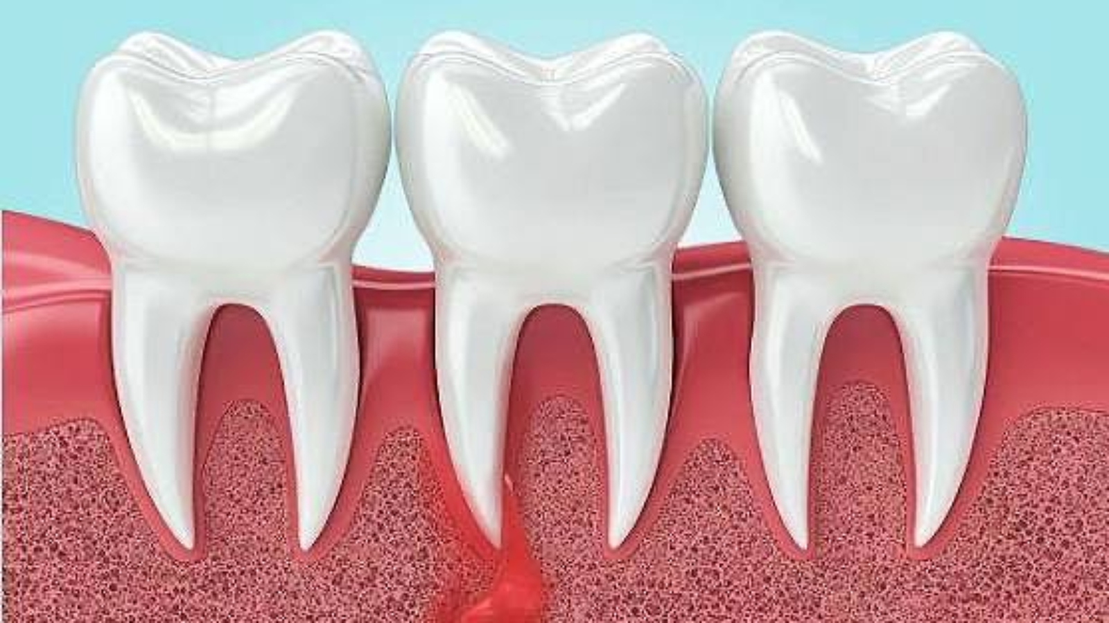 photo_2026-02-18_10-45-47