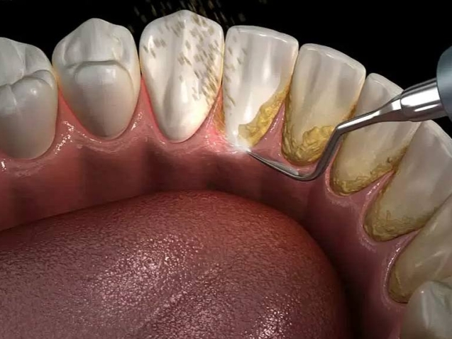 photo_2026-02-18_10-45-52