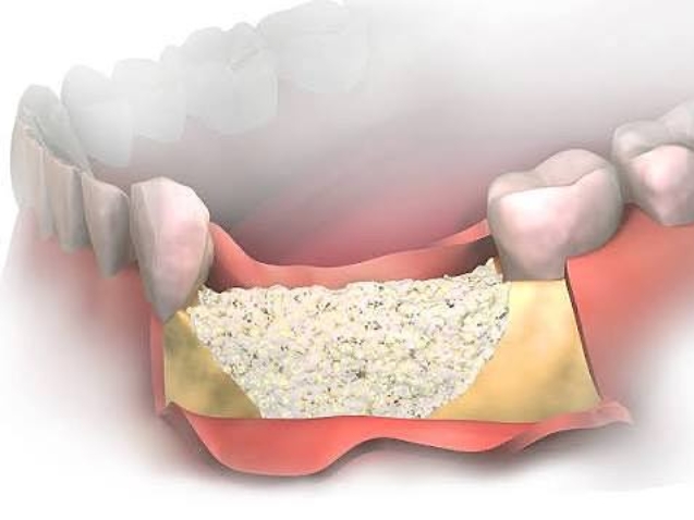 photo_2026-02-19_11-57-04