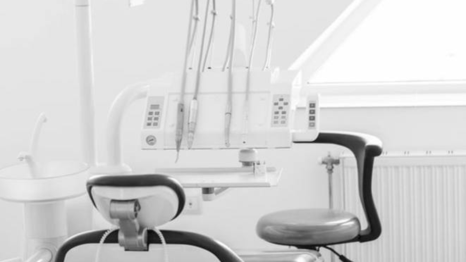 photo_2026-02-19_11-57-17