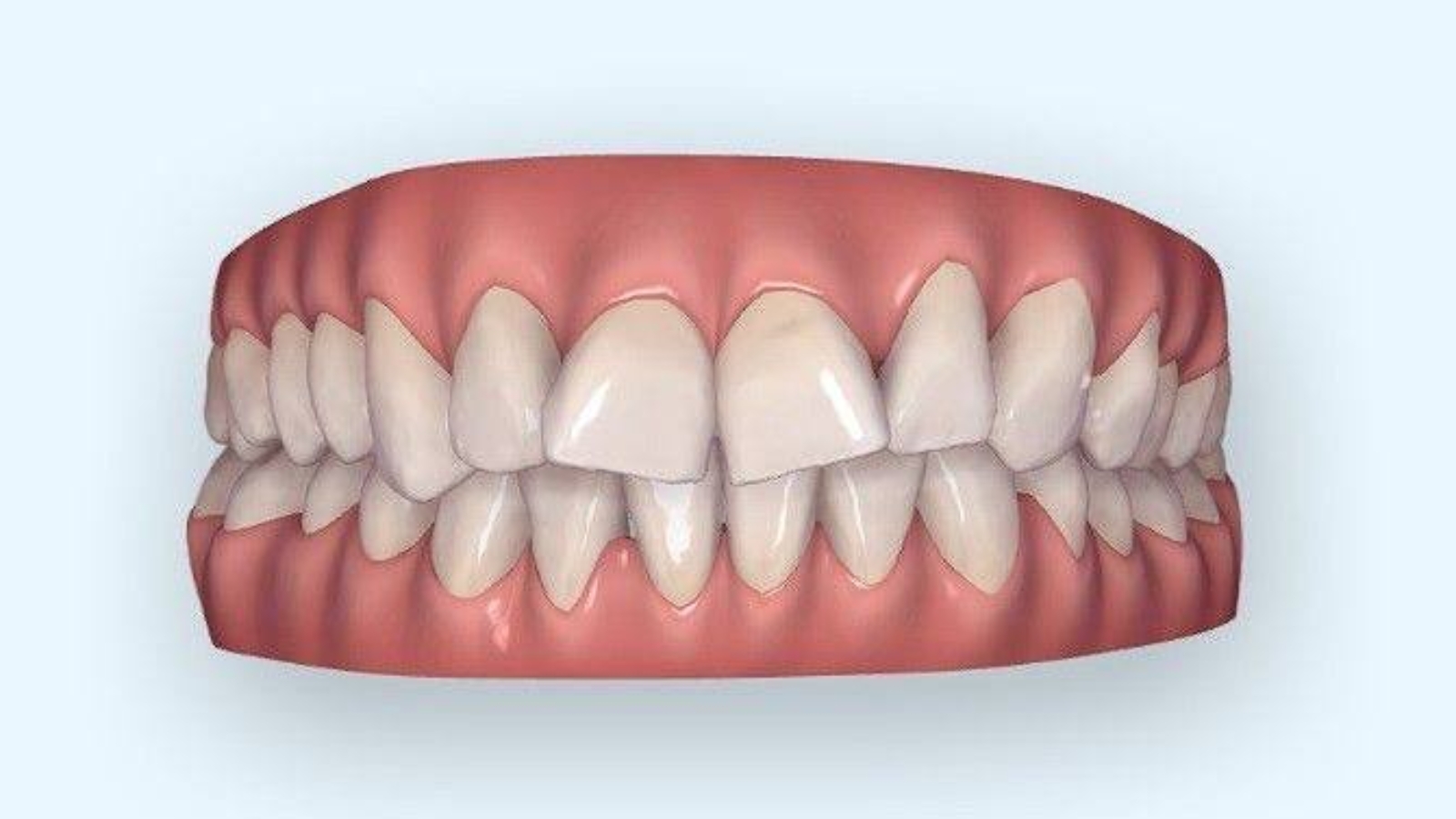 photo_2026-02-20_11-52-25