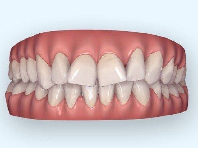 photo_2026-02-20_11-52-25